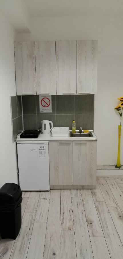 Mitic Apartmani 1 นิส ภายนอก รูปภาพ